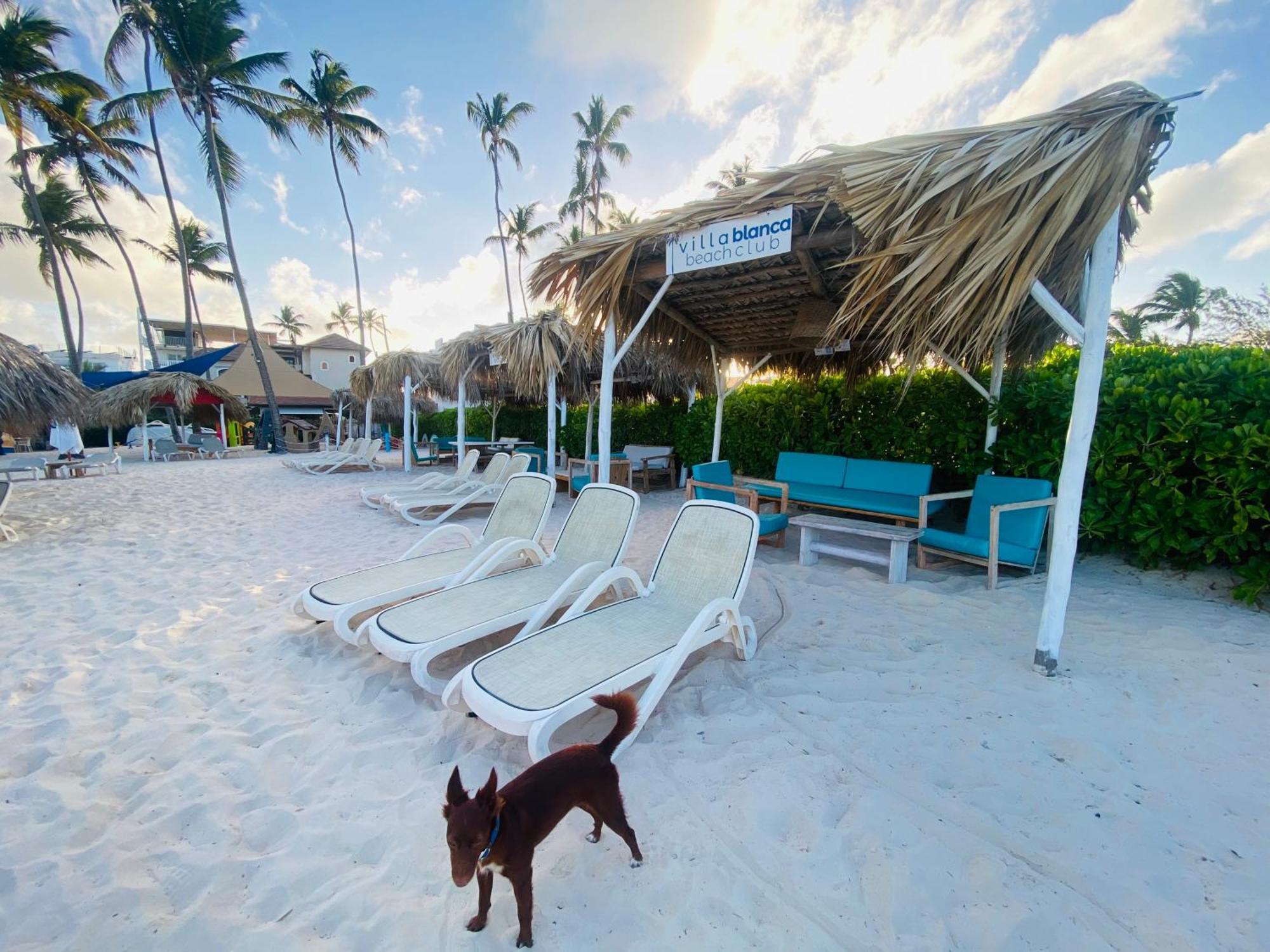 Bavaro Punta Cana Los Corales Beach - Ducassi - Sol Caribe Exterior photo